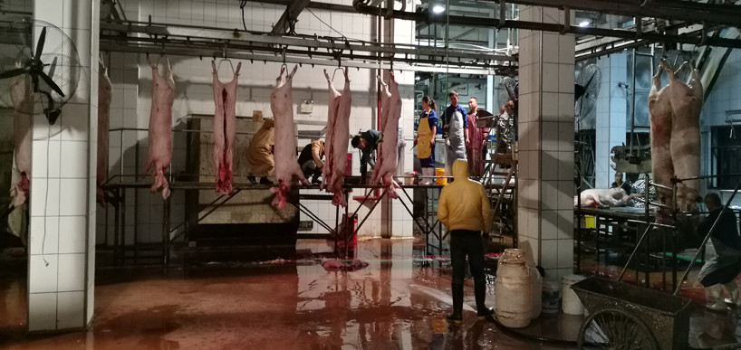 肉菜追溯_`大埔县食品公司肉类联合加工厂实景图1